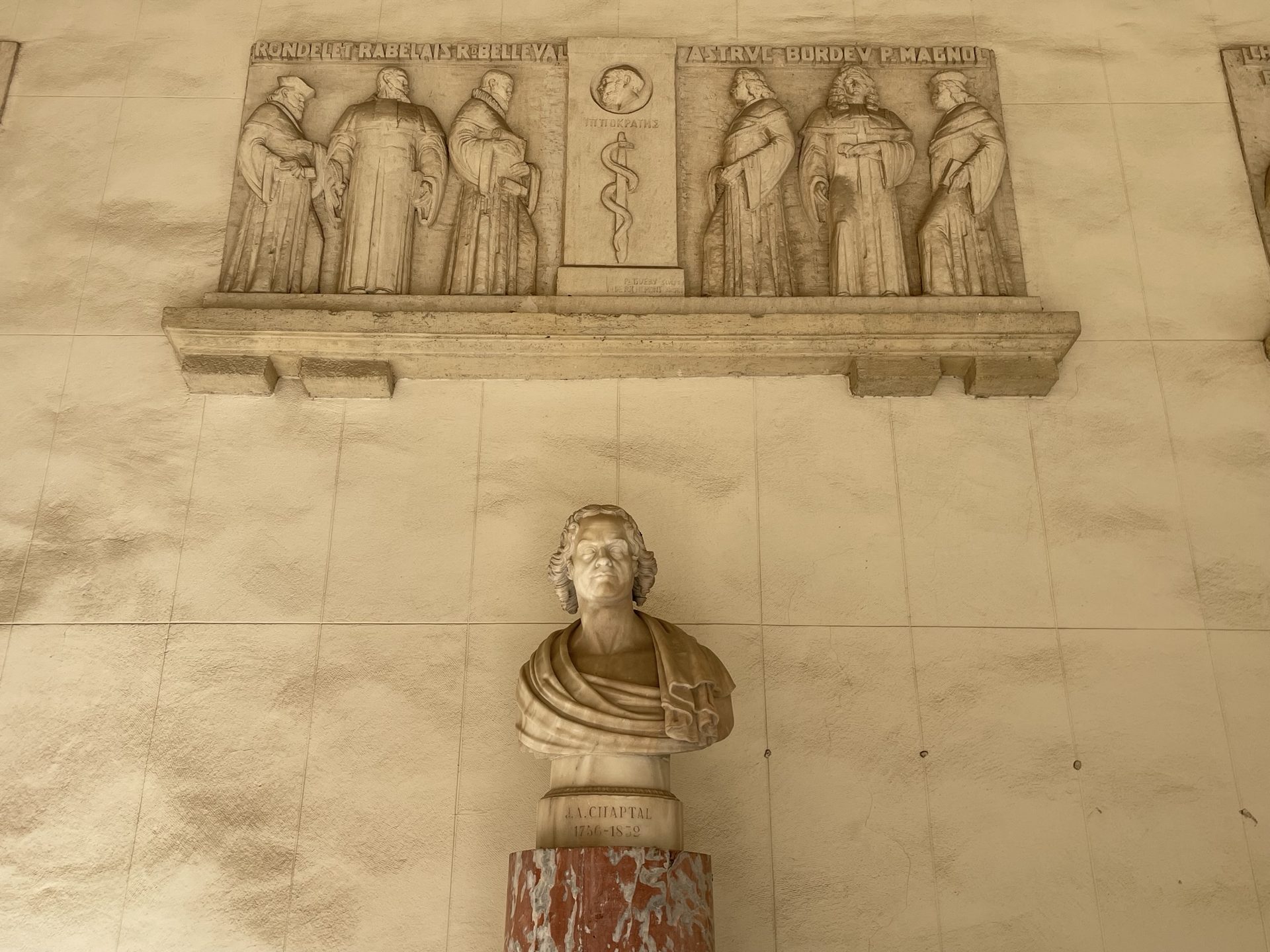 Jean-Antoine Chaptal's bust, Theatrum Anatomicum, Montpellier (by Andrea Angelucci) - 02.JPEG